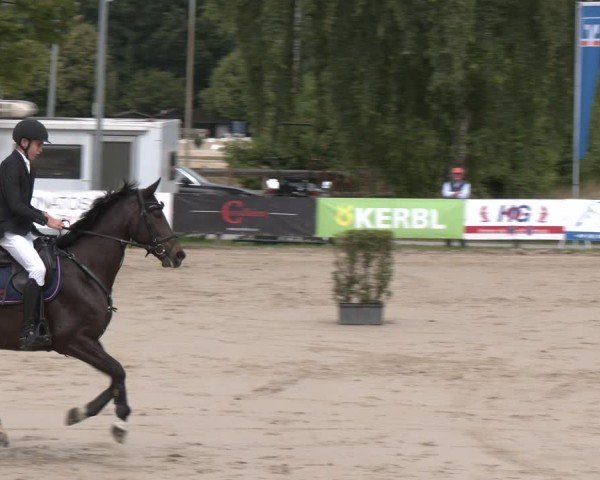 Reitturnier Münster-Roxel 2025