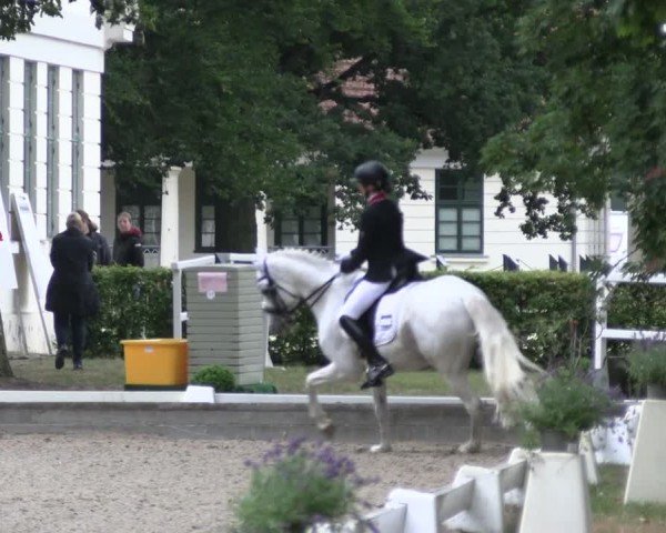 Reitturnier Redefin 2025