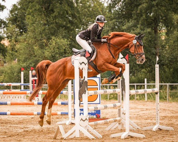 jumper Dukato 6 (Saxony-Anhaltiner, 1999, from Dusold)