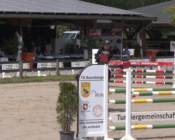 Reitturnier Münster-Roxel 2025