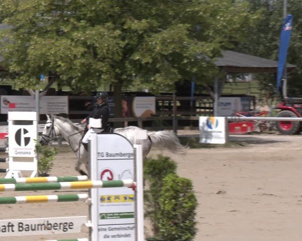 Reitturnier Münster-Roxel 2025