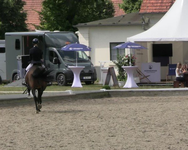 Reitturnier Redefin 2025