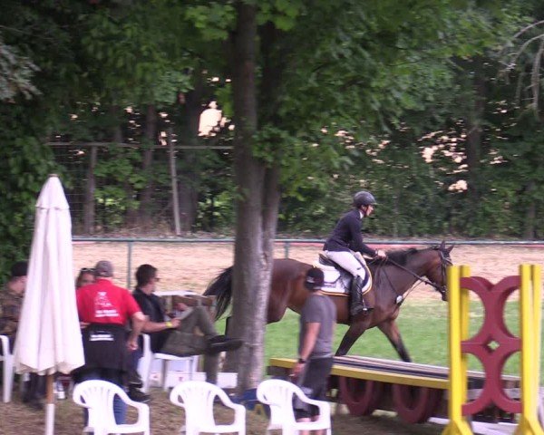 Reitturnier Limbach-Oberfrohna 2025