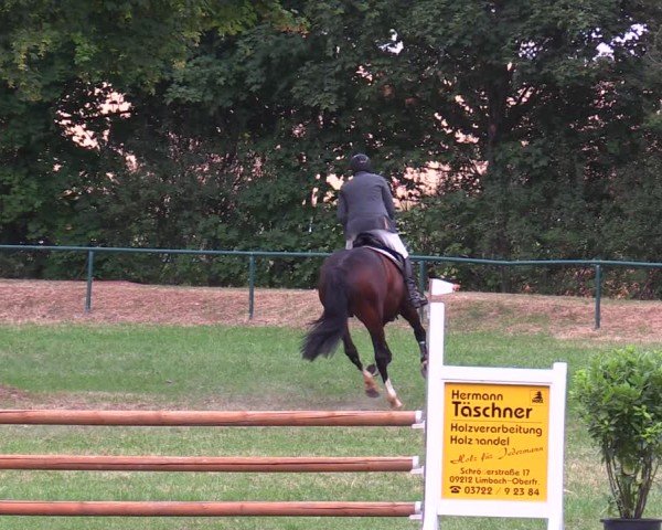 Reitturnier Limbach-Oberfrohna 2025