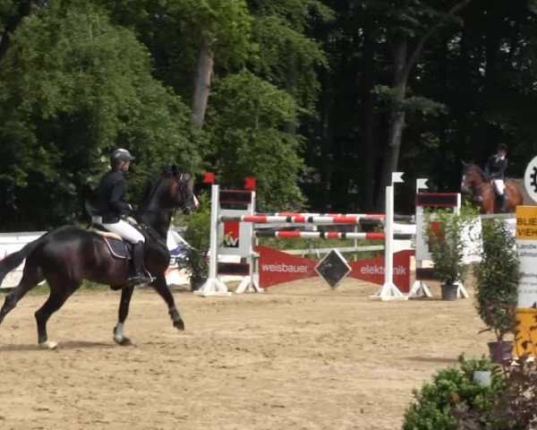 Iserlohn-Kalthof 2014