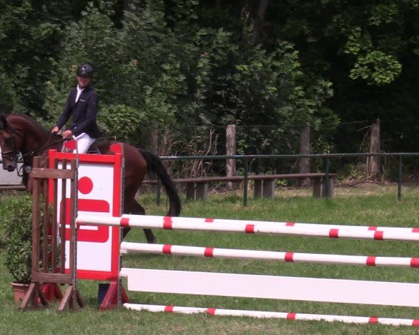 Reitturnier Limbach-Oberfrohna 2025