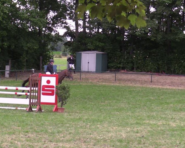 Reitturnier Limbach-Oberfrohna 2025
