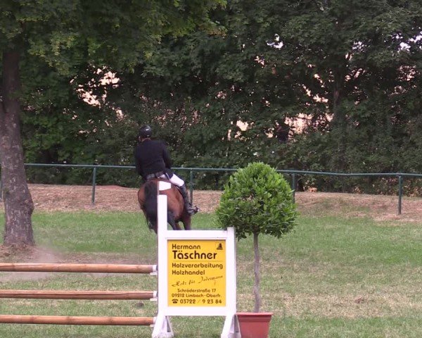 Reitturnier Limbach-Oberfrohna 2025