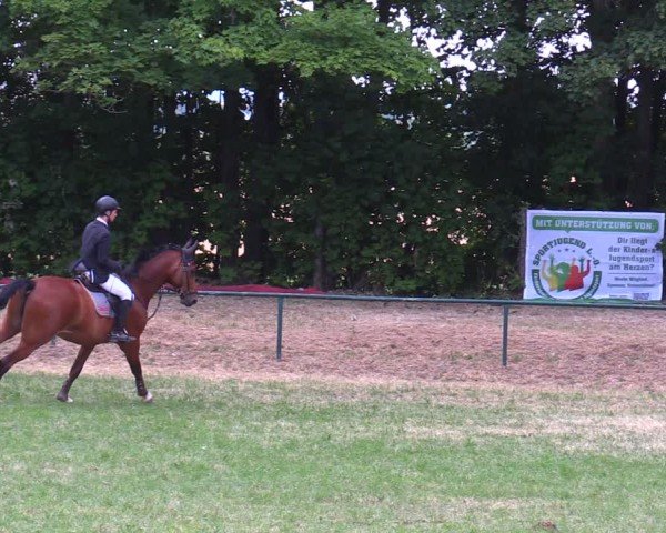 Reitturnier Limbach-Oberfrohna 2025