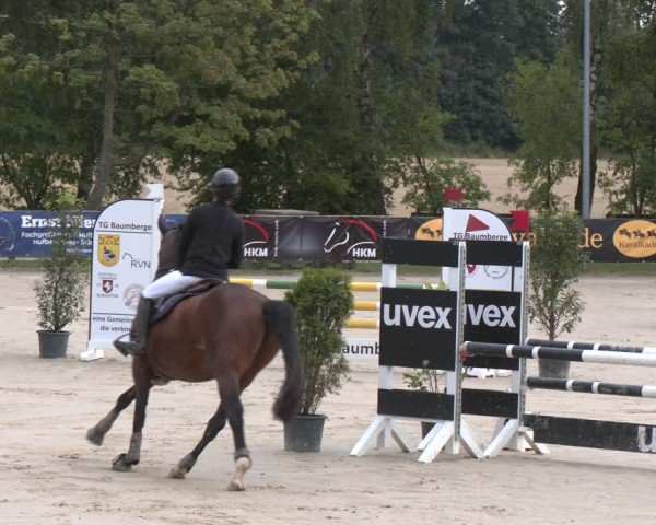 Reitturnier Münster-Roxel 2025