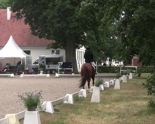 Reitturnier Redefin 2025