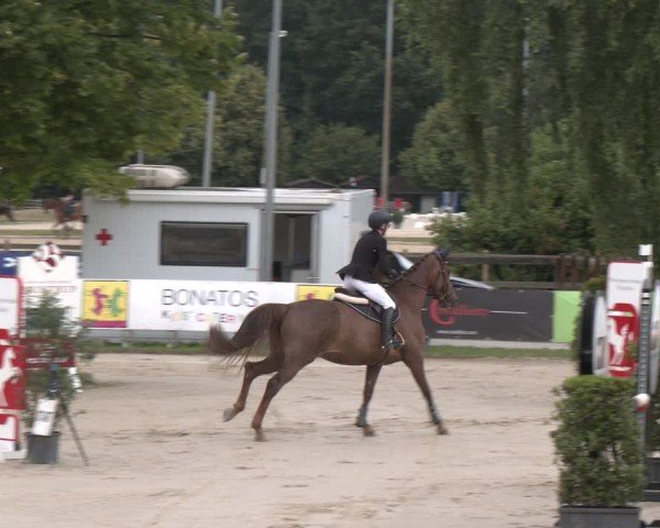 Reitturnier Münster-Roxel 2025