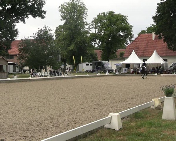 Reitturnier Redefin 2025