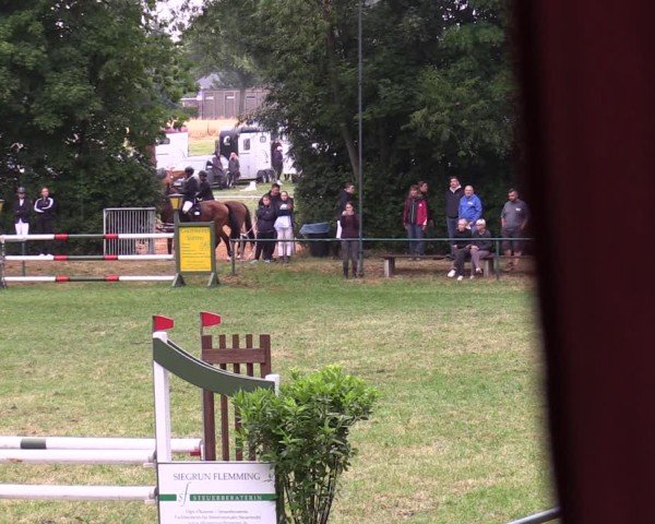 Reitturnier Limbach-Oberfrohna 2025