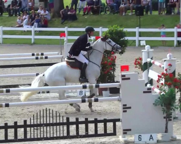 Springturnier Isny 2014