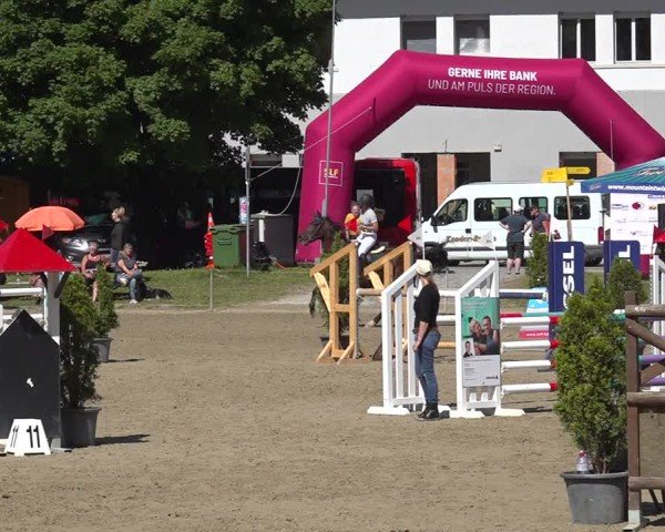 Reitturnier Kandersteg 2025