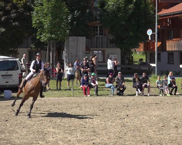 Reitturnier Kandersteg 2025