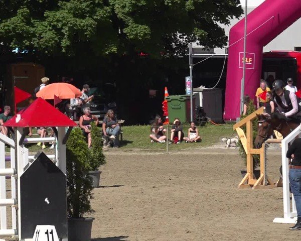 Reitturnier Kandersteg 2025