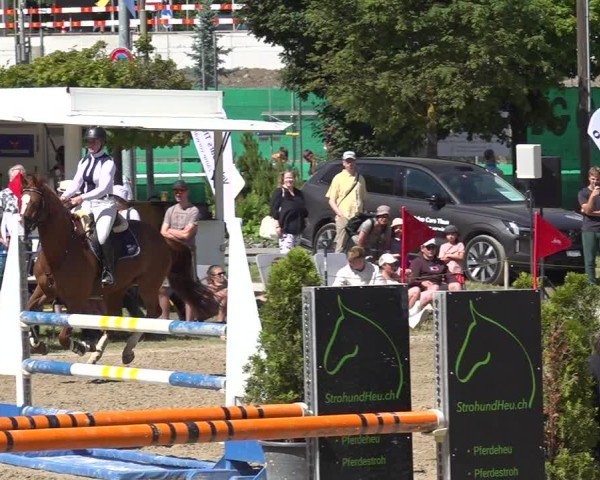 Reitturnier Kandersteg 2025