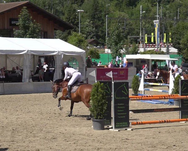 Reitturnier Kandersteg 2025