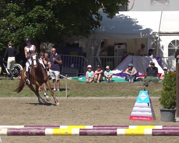 Reitturnier Kandersteg 2025