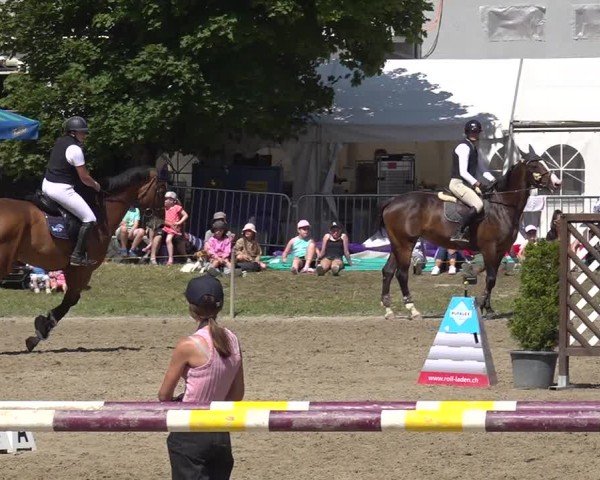 Reitturnier Kandersteg 2025
