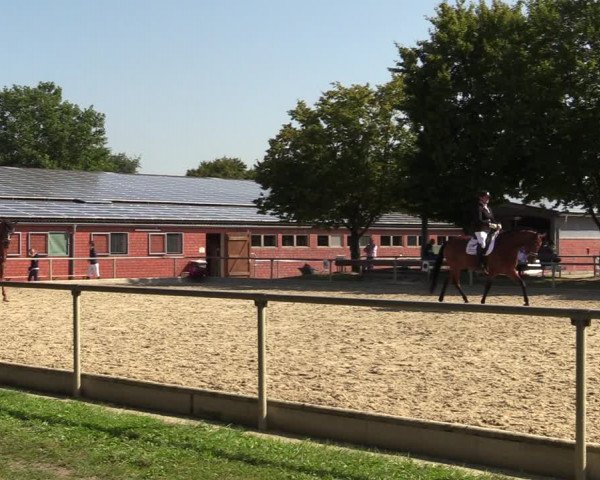 Reitturnier Ascheberg 2021