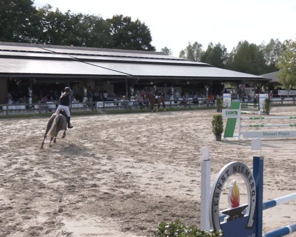 Reitturnier Münster-Roxel 2025