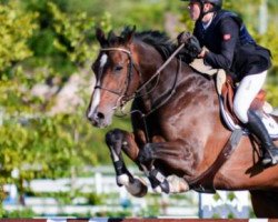 jumper Rr Lord of Rings (Norwegian Warmblood, 2004, from Lord Caletto)