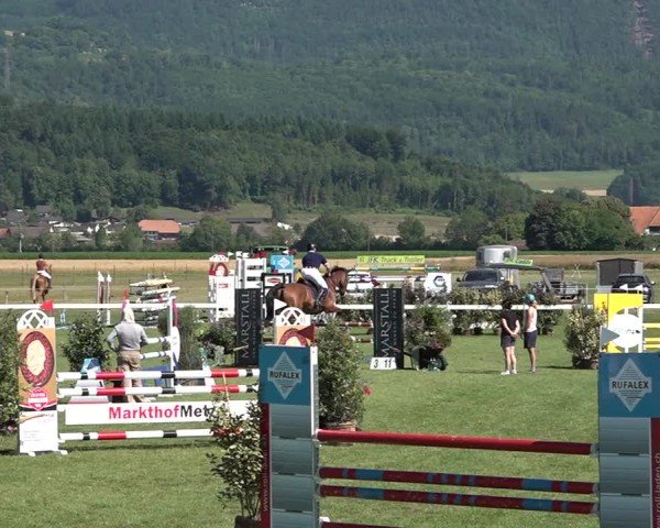 Reitturnier Büren an der Aare 2025