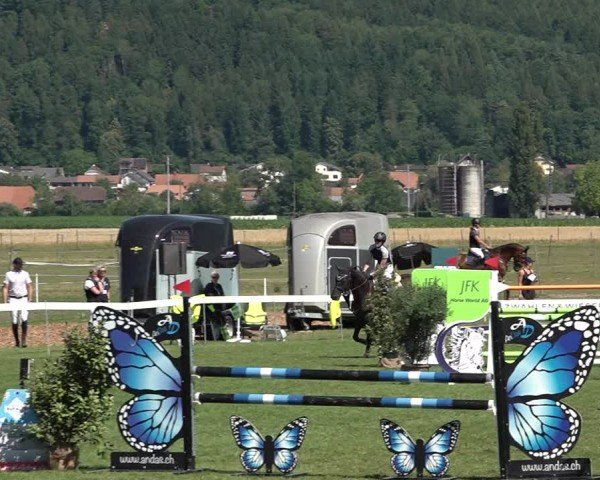 Reitturnier Büren an der Aare 2025