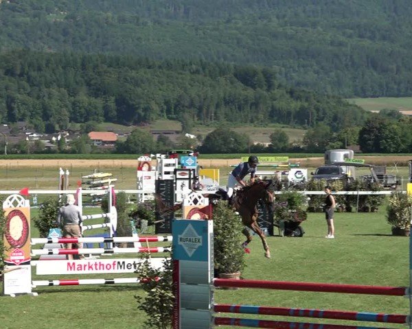 Reitturnier Büren an der Aare 2025