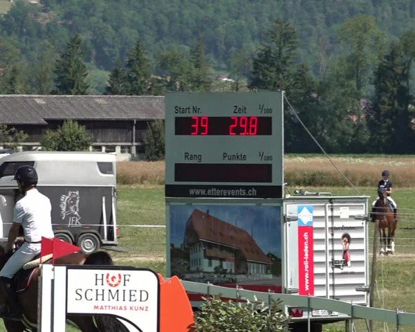 Reitturnier Büren an der Aare 2025