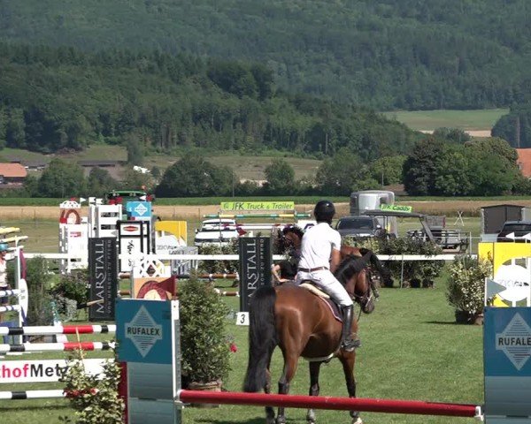 Reitturnier Büren an der Aare 2025