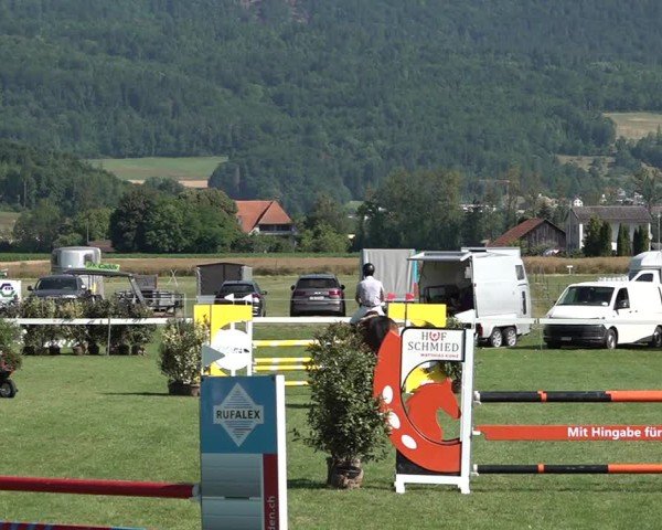 Reitturnier Büren an der Aare 2025