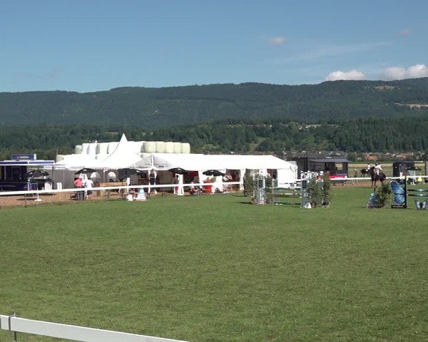 Reitturnier Büren an der Aare 2025
