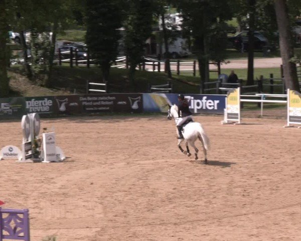Reitturnier Stadl-Paura 2025