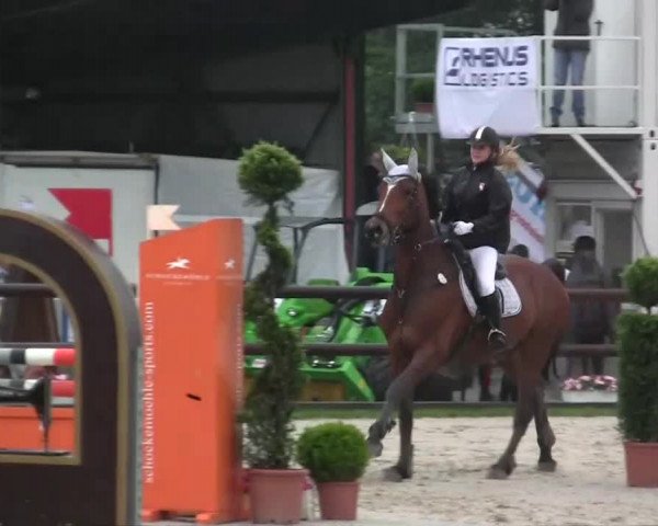 Großes Reit- und Springturnier Kirchhellen/Stall Dieckmann 2014
