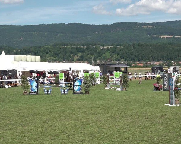 Reitturnier Büren an der Aare 2025