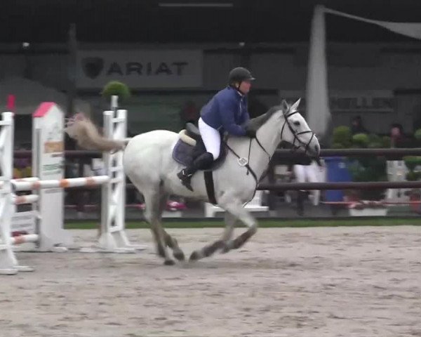 Großes Reit- und Springturnier Kirchhellen/Stall Dieckmann 2014