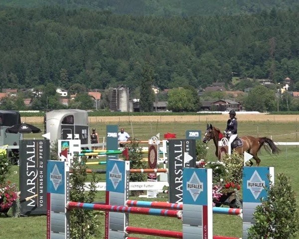 Reitturnier Büren an der Aare 2025