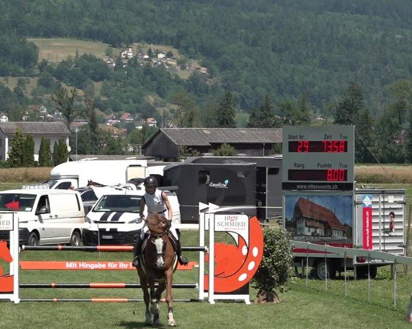 Reitturnier Büren an der Aare 2025