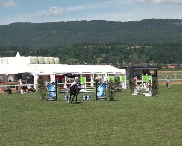 Reitturnier Büren an der Aare 2025
