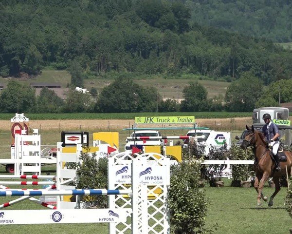 Reitturnier Büren an der Aare 2025