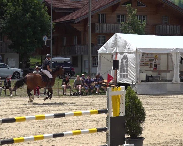Reitturnier Kandersteg 2025