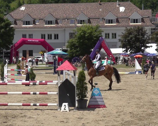 Reitturnier Kandersteg 2025