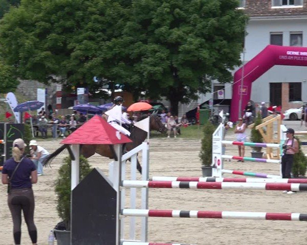 Reitturnier Kandersteg 2025