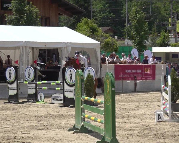 Reitturnier Kandersteg 2025