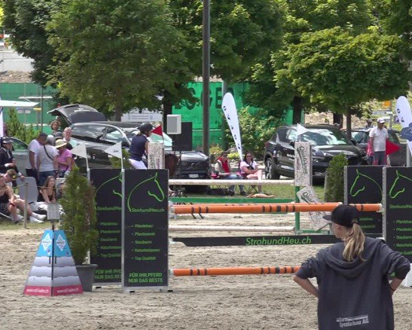 Reitturnier Kandersteg 2025