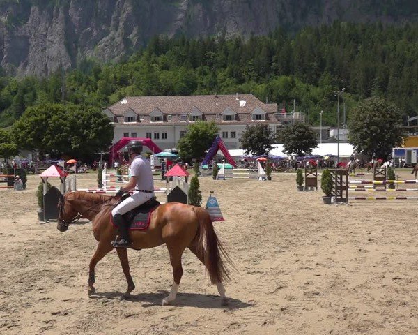 Reitturnier Kandersteg 2025